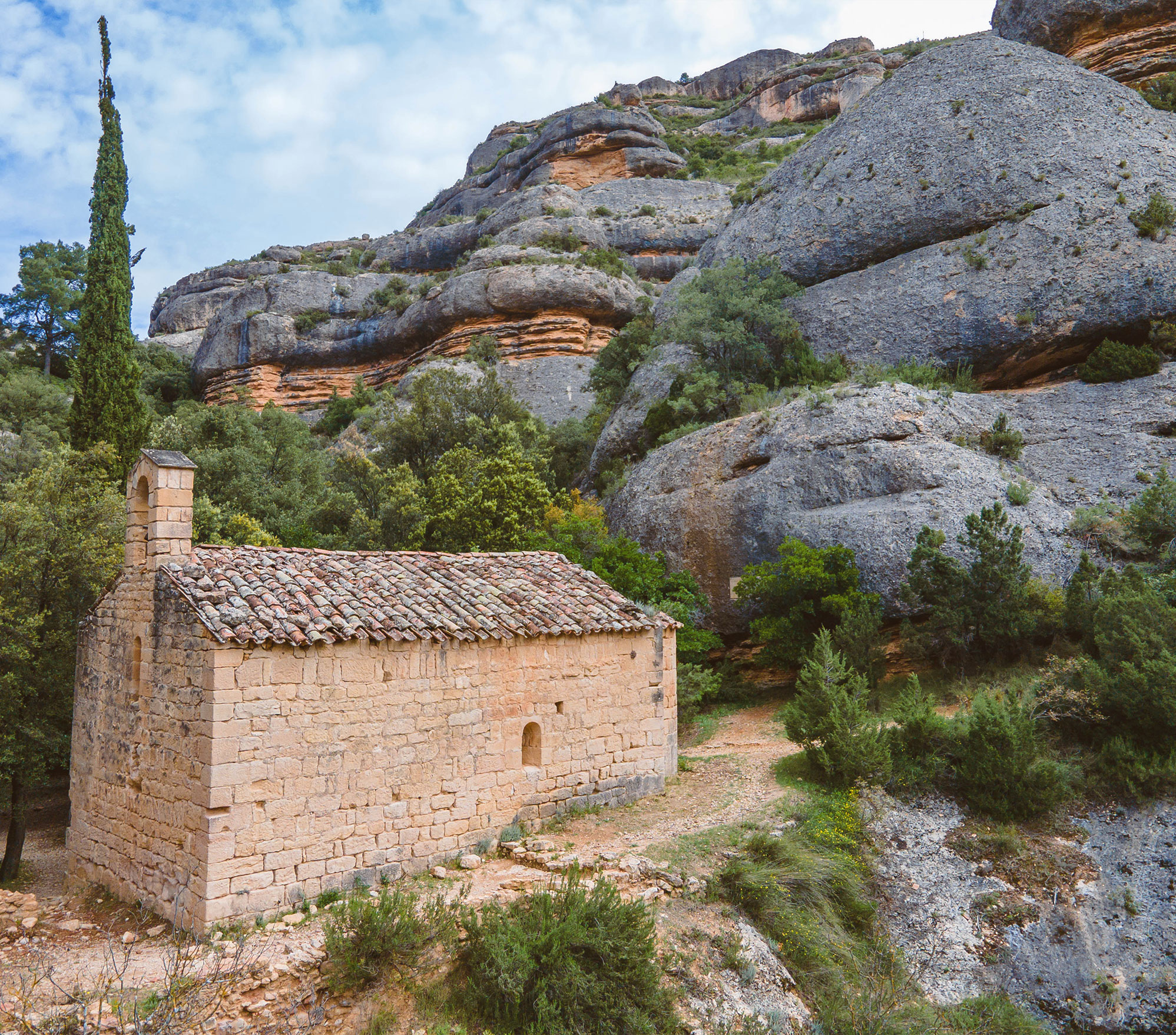 rutas de vino con guía personal en priorat, Vino Priorat, priorat tour, vino en Tarragona, Rutas de vino Priorat
