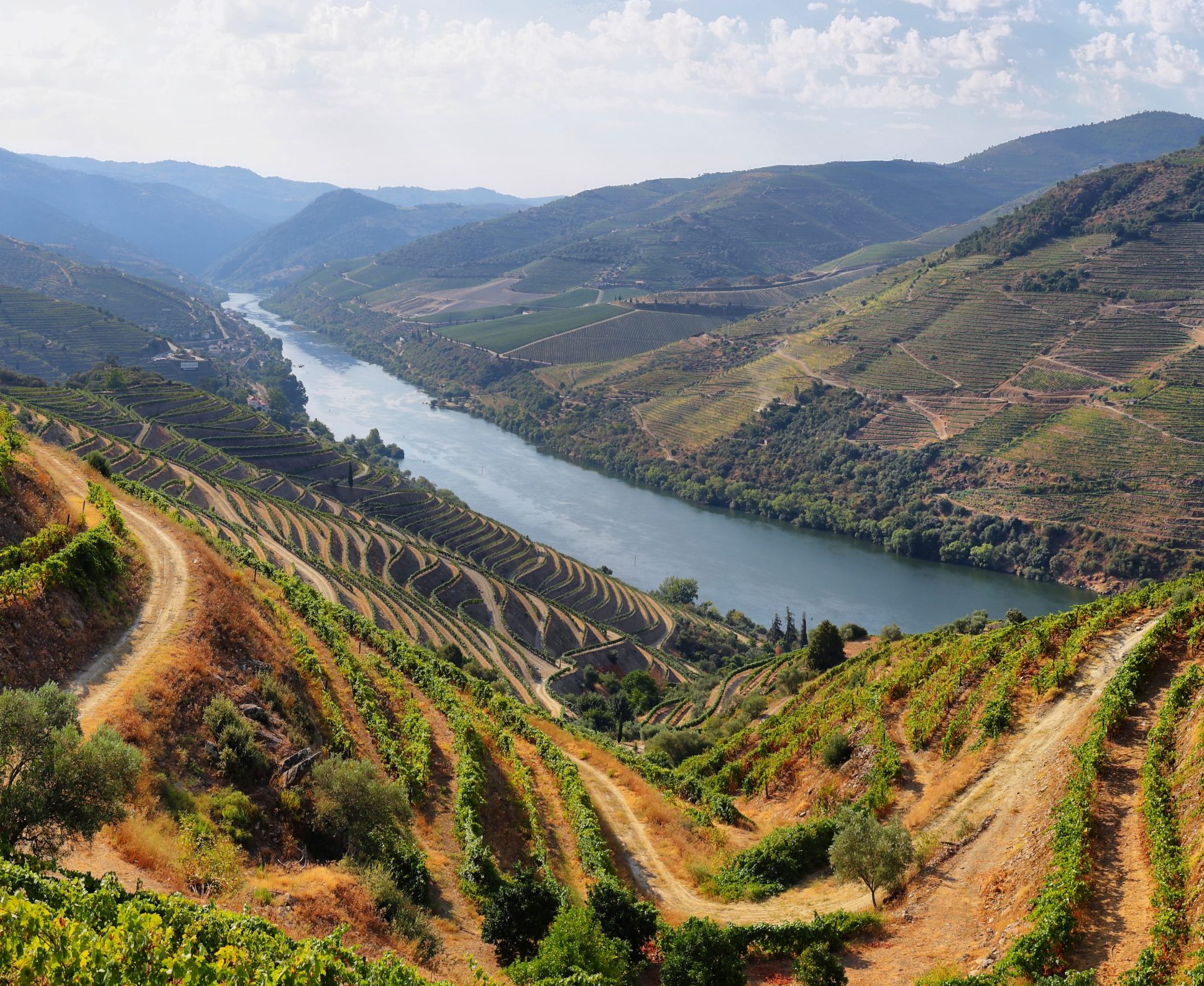 las mejores rutas para probar el vino de alto Douro vinatero, vino en Portugal, guías vino Portugal